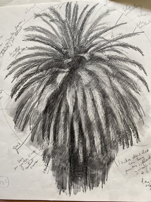 Boceto para Palmera