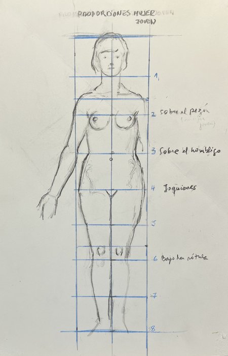 Estudios de anatomía