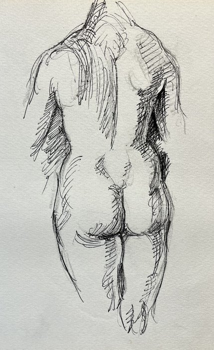 Estudio de anatomía II