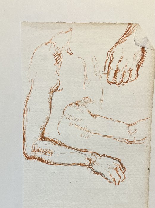 Estudio de anatomía IV