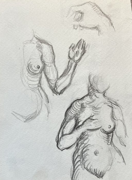Estudio de anatomía VI