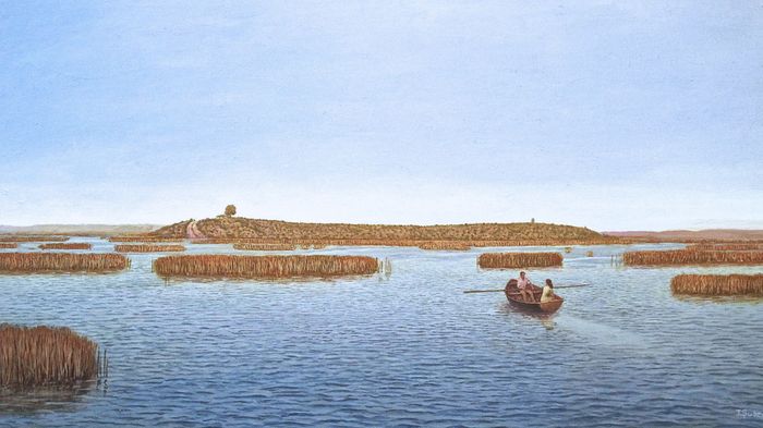 Isla en la ciénaga, 2014